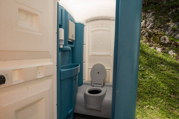 Best Affordable porta potty rental  in Wyandotte, MI
