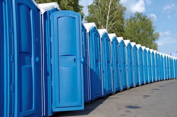 Best Sanitation services for porta potties  in Wyandotte, MI